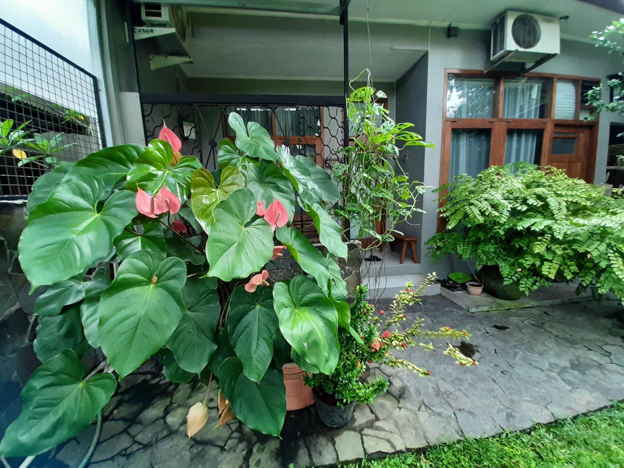 Rumah566 Yogyakarta Ngoại thất bức ảnh